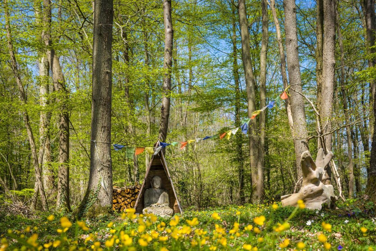 Gites Du Bois Des Perruches Saint-Vincent-des-Bois Ngoại thất bức ảnh