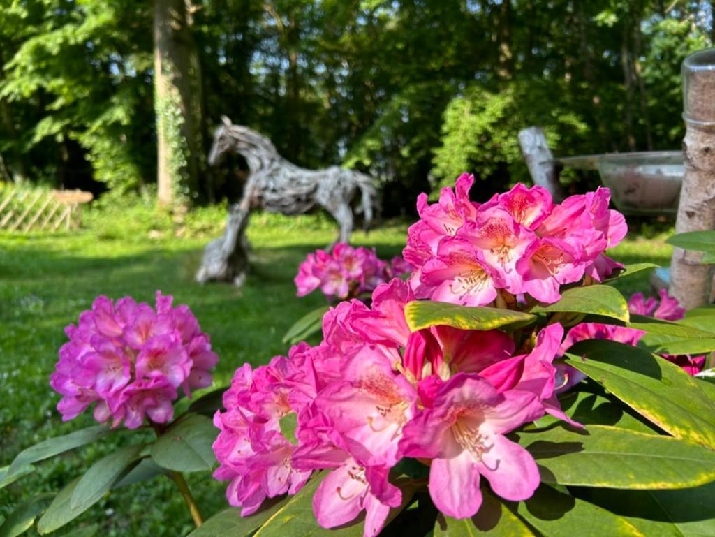 Gites Du Bois Des Perruches Saint-Vincent-des-Bois Ngoại thất bức ảnh