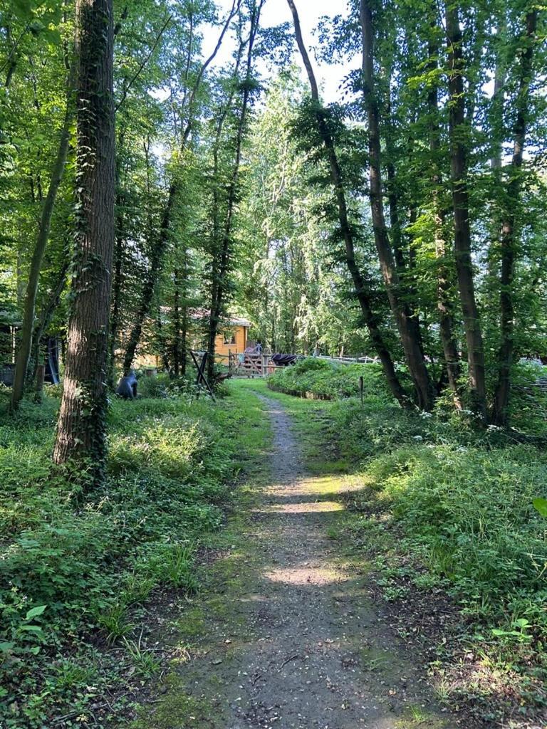 Gites Du Bois Des Perruches Saint-Vincent-des-Bois Ngoại thất bức ảnh